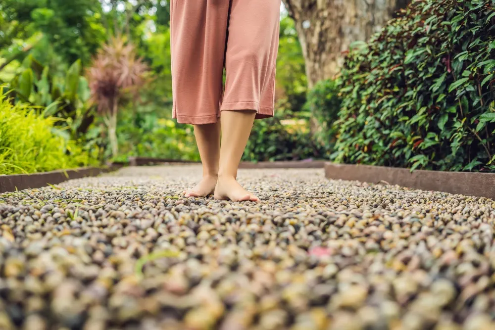 Reflexology Walk Way